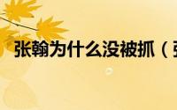 张翰为什么没被抓（张翰为什么被黑鱼塘）
