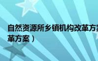 自然资源所乡镇机构改革方案最新（自然资源所乡镇机构改革方案）