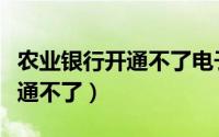 农业银行开通不了电子账户（农行电子银行开通不了）
