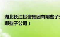 湖北长江投资集团有哪些子公司招聘（湖北长江投资集团有哪些子公司）