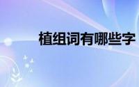 植组词有哪些字（植组词有哪些）