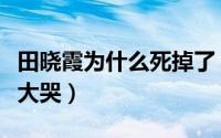 田晓霞为什么死掉了（田晓霞的死为何让路遥大哭）