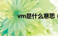 vm是什么意思（vmc什么意思）