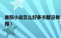 番茄小说怎么好多书都没有（番茄小说为什么没有了新书推荐）