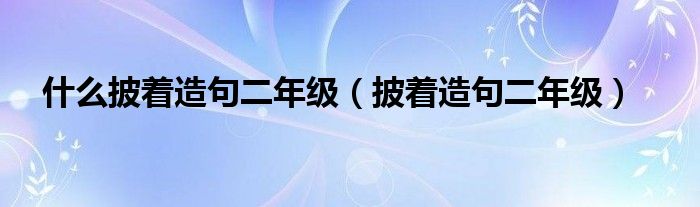 什么披着造句二年级（披着造句二年级）