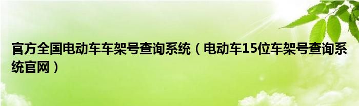 官方全国电动车车架号查询系统（电动车15位车架号查询系统官网）