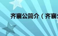 齐襄公简介（齐襄公原名是田法章吗）