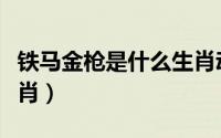 铁马金枪是什么生肖动物（铁马金枪是什么生肖）