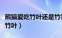 熊猫爱吃竹叶还是竹笋（熊猫喜欢吃竹子还是竹叶）