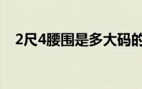 2尺4腰围是多大码的（2尺4腰围什么码）