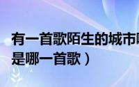 有一首歌陌生的城市啊（歌词里有陌生的城市是哪一首歌）
