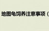 地图龟饲养注意事项（地图龟好不好养凶吗）