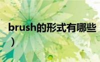 brush的形式有哪些（brushed的原形是什么）
