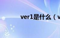 ver1是什么（ver是什么参数）