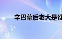 辛巴幕后老大是谁（辛巴老板是谁）