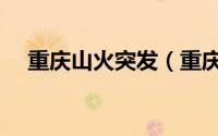 重庆山火突发（重庆山火什么原因引起）