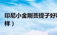 印尼小金刚菩提子好吗（印尼小金刚菩提怎么样）