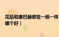 花后和康巴赫感觉一模一样（康巴赫和花后316不锈钢炒锅哪个好）