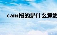cam指的是什么意思（cam是什么位置）