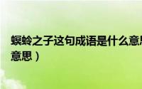 螟蛉之子这句成语是什么意思呀（螟蛉之子这句成语是什么意思）