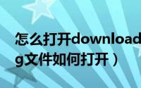 怎么打开downloading文件（downloading文件如何打开）