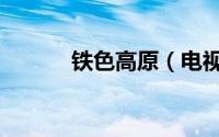 铁色高原（电视剧片头片尾曲）