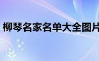 柳琴名家名单大全图片（柳琴名家名单大全）