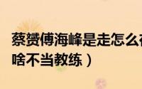 蔡赟傅海峰是走怎么在一起的（蔡赟傅海峰为啥不当教练）