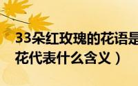 33朵红玫瑰的花语是什么意思（33朵红玫瑰花代表什么含义）