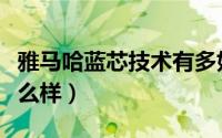 雅马哈蓝芯技术有多好（雅马哈蓝芯发动机怎么样）