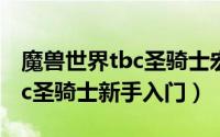 魔兽世界tbc圣骑士宏命令大全（魔兽世界tbc圣骑士新手入门）