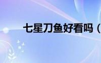 七星刀鱼好看吗（七星刀鱼凶不凶）