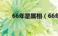 66年是属相（66年的各是什么属相）