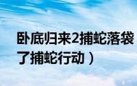 卧底归来2捕蛇落袋（卧底归来2为什么不拍了捕蛇行动）