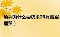 项羽为什么要坑杀20万秦军（项羽为什么坑杀20万秦军章邯痛哭）