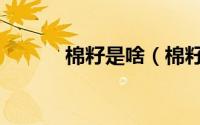 棉籽是啥（棉籽的原料是什么）