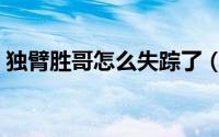 独臂胜哥怎么失踪了（快手独臂胜哥去哪了）
