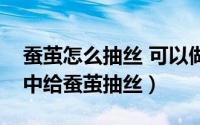 蚕茧怎么抽丝 可以做蚕丝被骂（如何在家庭中给蚕茧抽丝）