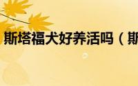 斯塔福犬好养活吗（斯塔福犬十个不养理由）