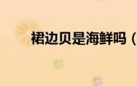 裙边贝是海鲜吗（海鲜裙边是什么）