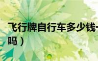 飞行牌自行车多少钱一辆（飞行自行车是名牌吗）