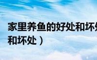 家里养鱼的好处和坏处视频（家里养鱼的好处和坏处）