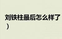 刘铁柱最后怎么样了（刘素兰与李铁柱的小说）