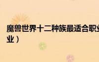 魔兽世界十二种族最适合职业（魔兽世界23个种族最正统职业）