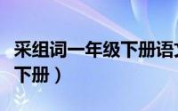 采组词一年级下册语文生字（采字组词一年级下册）