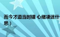 而今才道当时错 心绪凄迷什么意思（而今才道当时错什么意思）