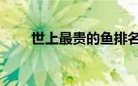 世上最贵的鱼排名（最贵的鱼排名）