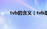 tvb的含义（tvb是什么意思网络语）