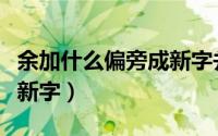 余加什么偏旁成新字并组词（余加什么偏旁成新字）