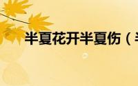 半夏花开半夏伤（半夏花开什么意思）
